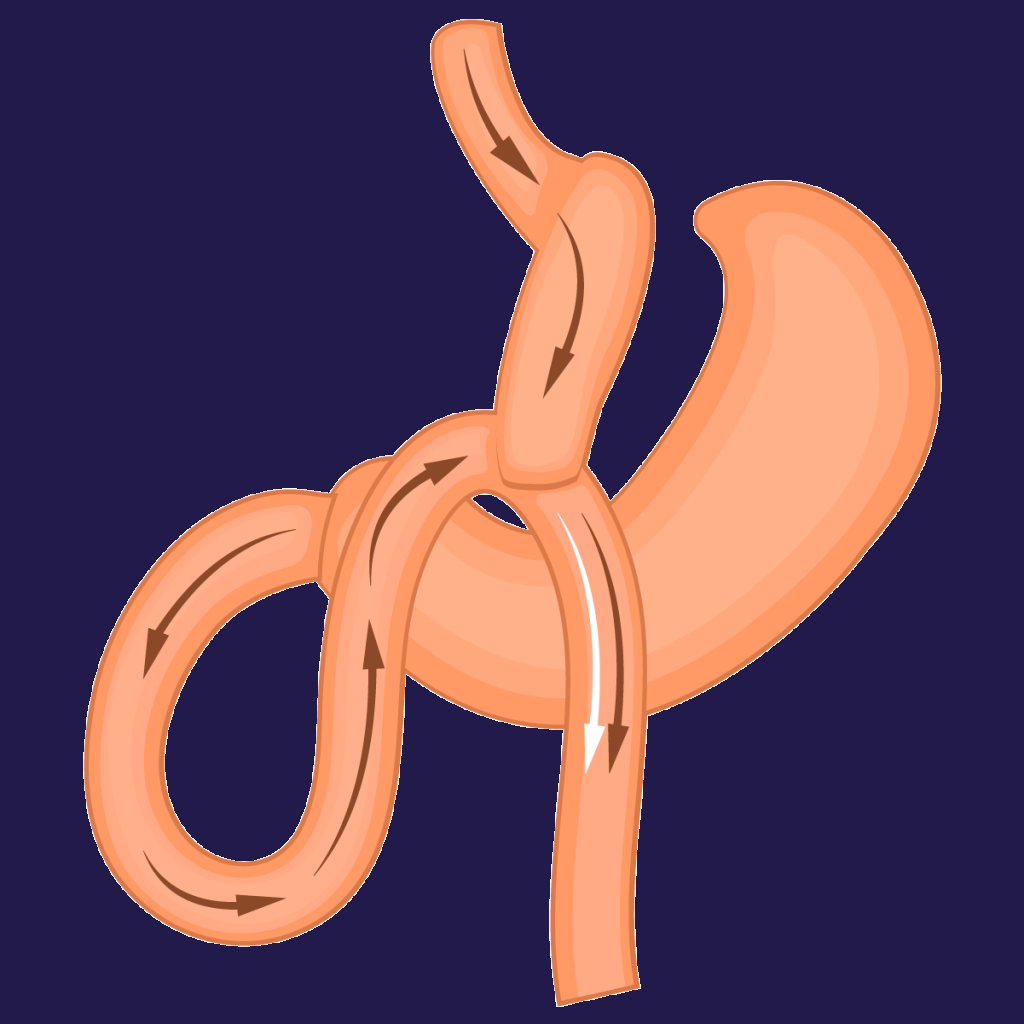 icône